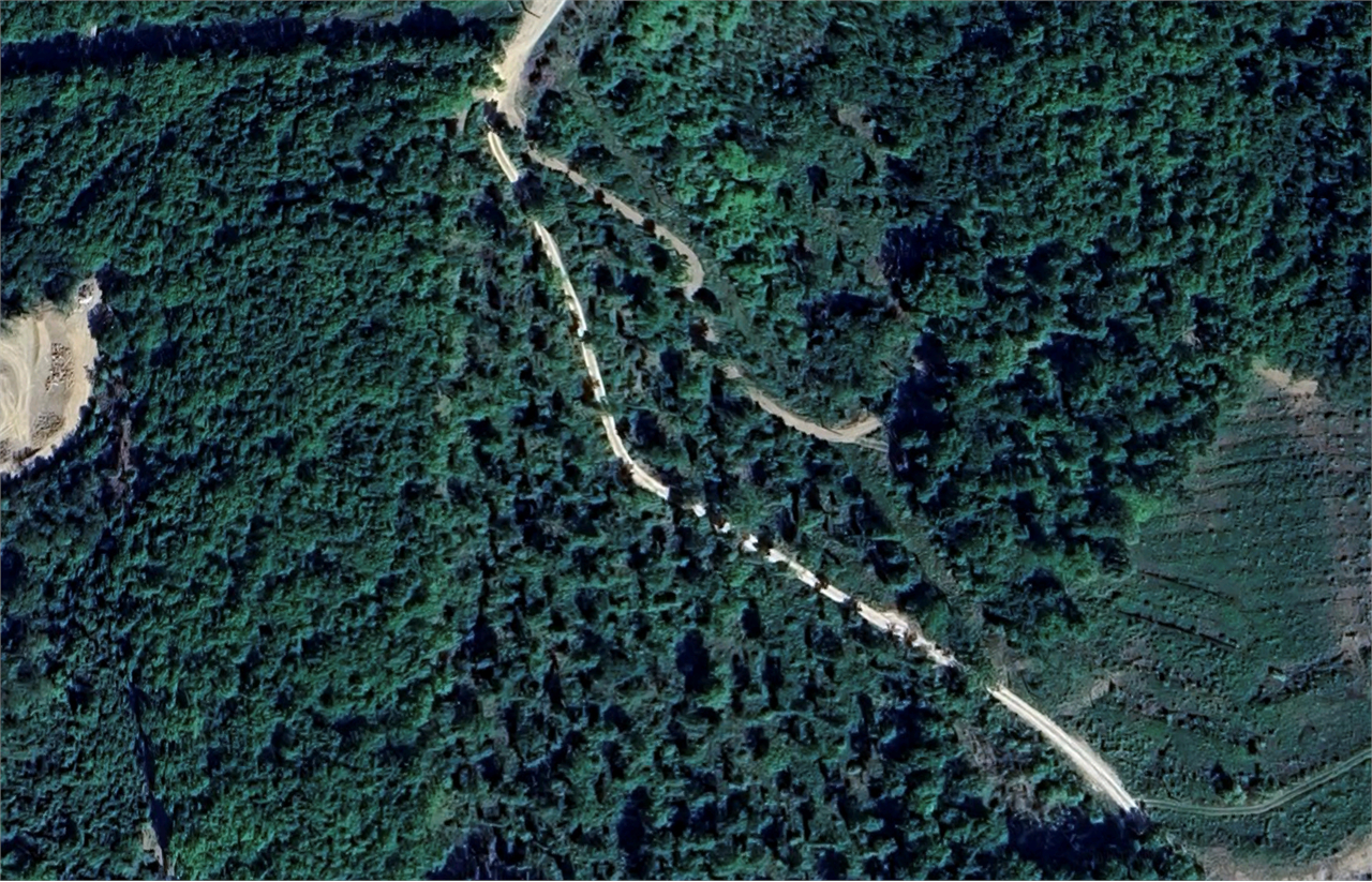 immagine annuncio 6 di 7