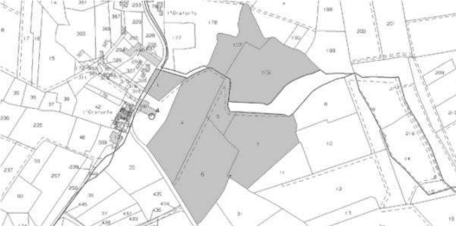 immagine annuncio 4 di 8