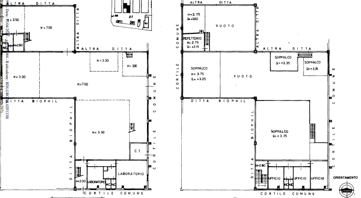 immagine annuncio 2 di 10
