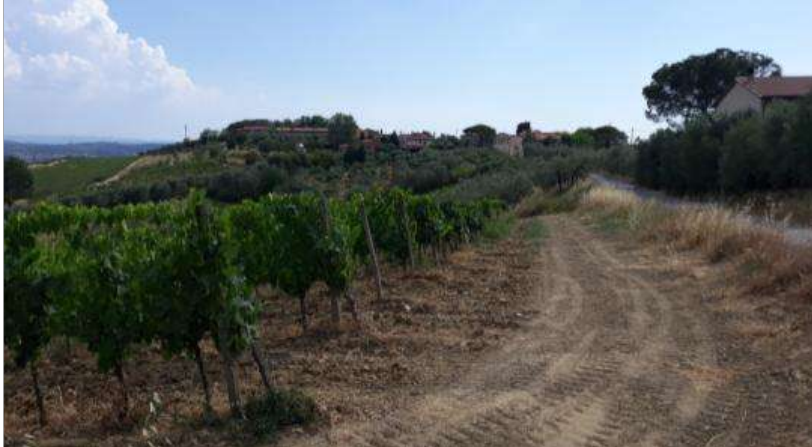 immagine annuncio 2 di 9