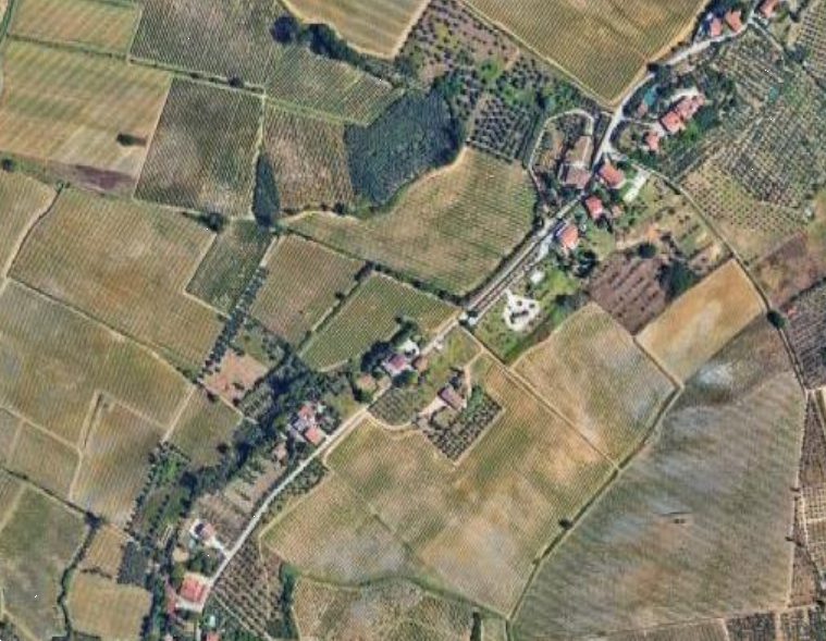 immagine annuncio 7 di 9