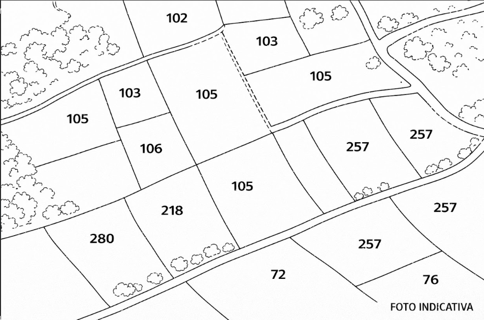 immagine annuncio 4 di 8