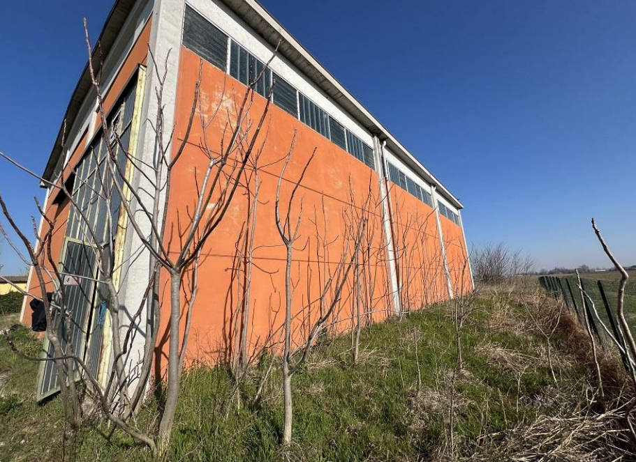 immagine annuncio 3 di 10