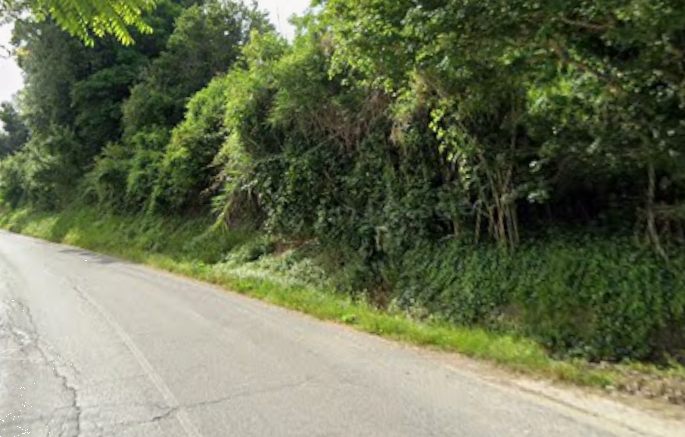 immagine annuncio 2 di 8