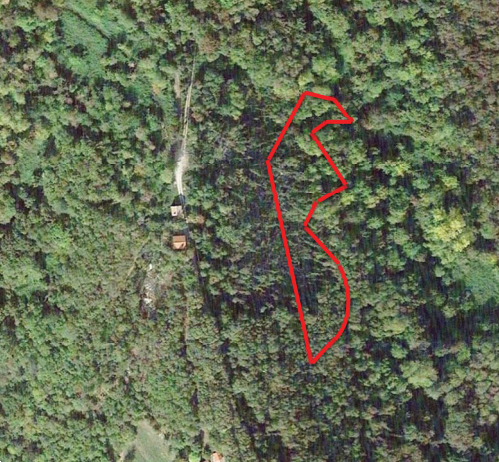 immagine annuncio 4 di 8