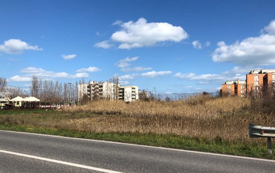 immagine annuncio 4 di 10