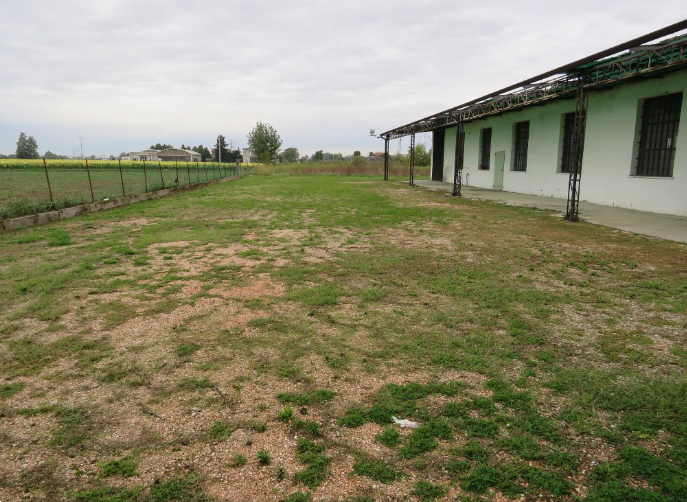 immagine annuncio 2 di 10