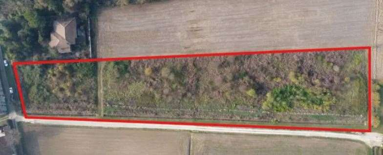 immagine annuncio 1 di 10