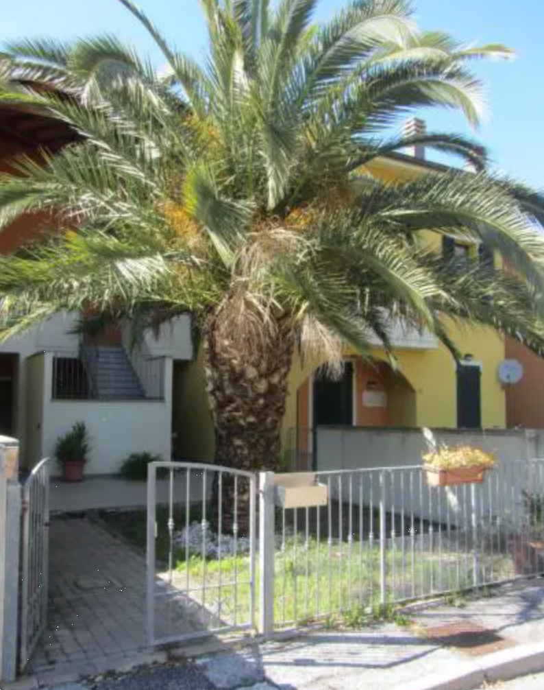 immagine annuncio 1 di 10