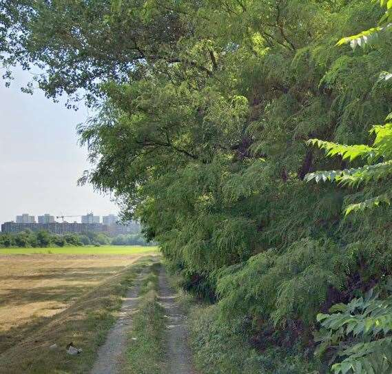 immagine annuncio 2 di 10