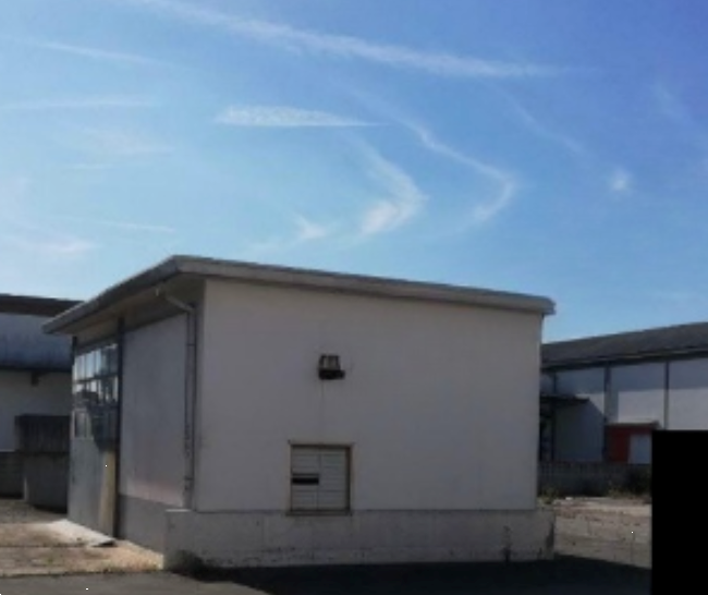 immagine annuncio 1 di 10