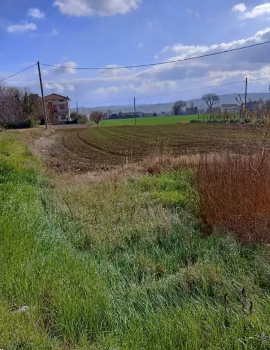 immagine annuncio 1 di 8