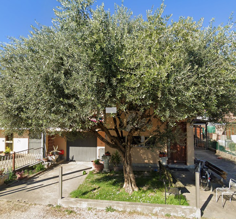 immagine annuncio 1 di 10