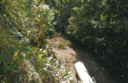 immagine annuncio 5 di 10