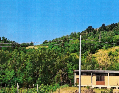 immagine annuncio 2 di 9