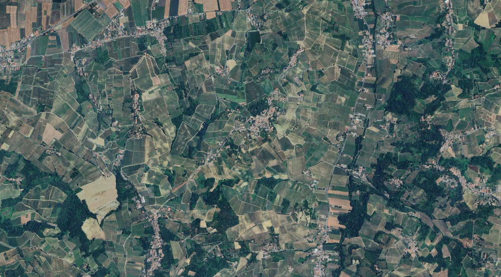 immagine annuncio 3 di 8