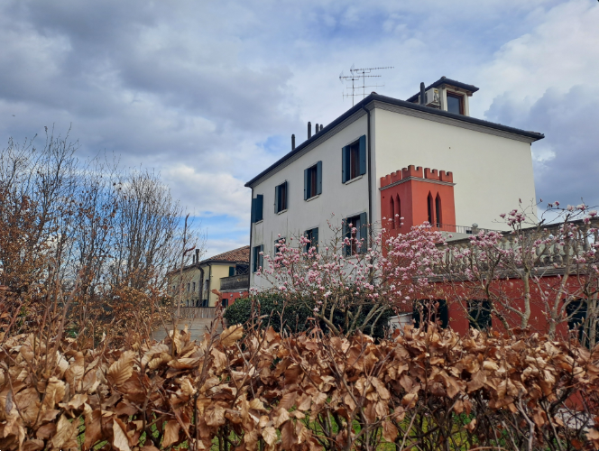 immagine annuncio 1 di 10