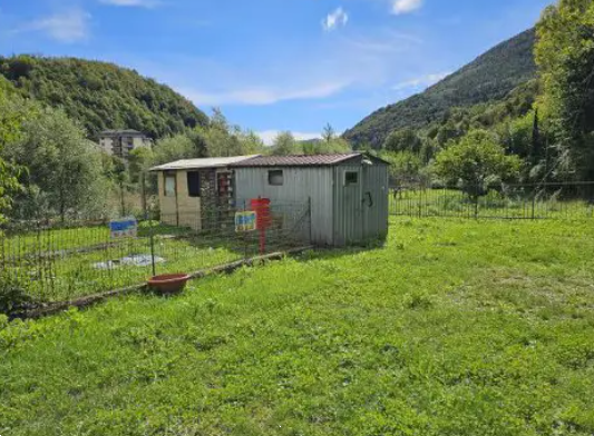 immagine annuncio 9 di 10