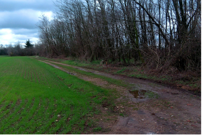 immagine annuncio 2 di 10