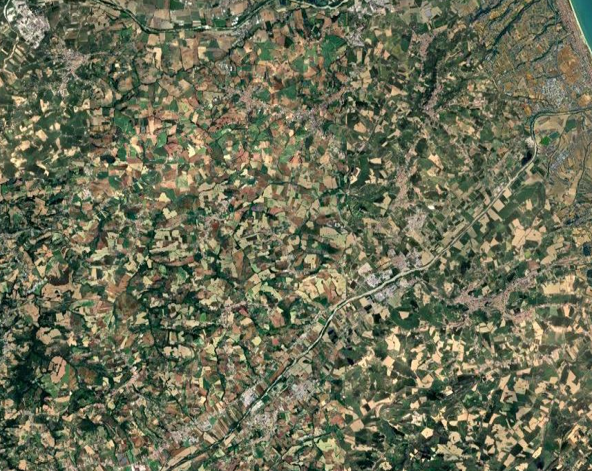 immagine annuncio 9 di 10