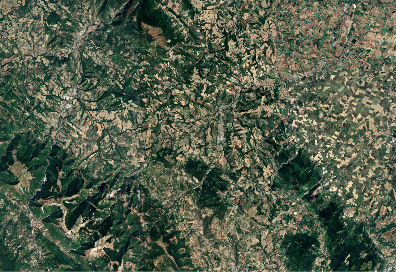 immagine annuncio 2 di 7