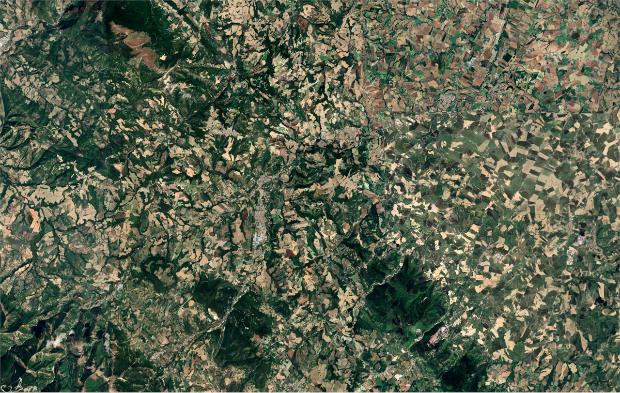 immagine annuncio 6 di 9