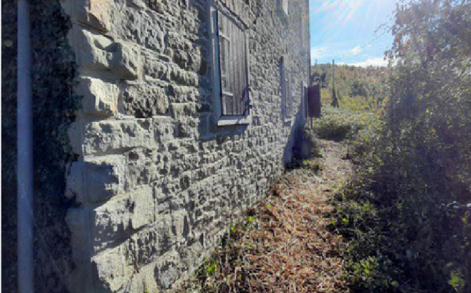 immagine annuncio 2 di 10