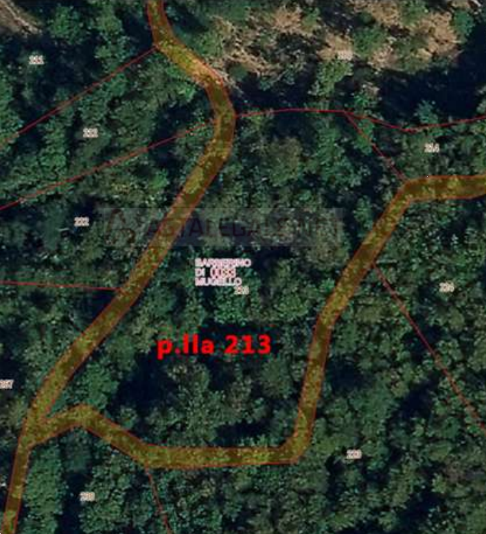 immagine annuncio 1 di 9