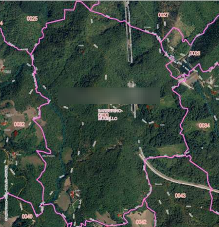 immagine annuncio 2 di 9