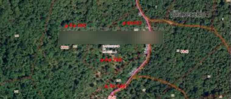 immagine annuncio 4 di 9