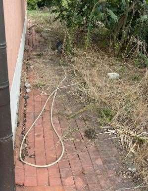 immagine annuncio 3 di 10