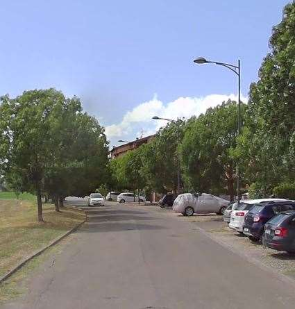 immagine annuncio 2 di 10