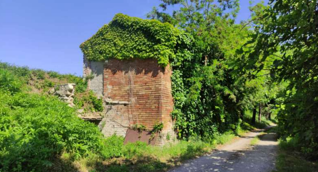 immagine annuncio 1 di 10