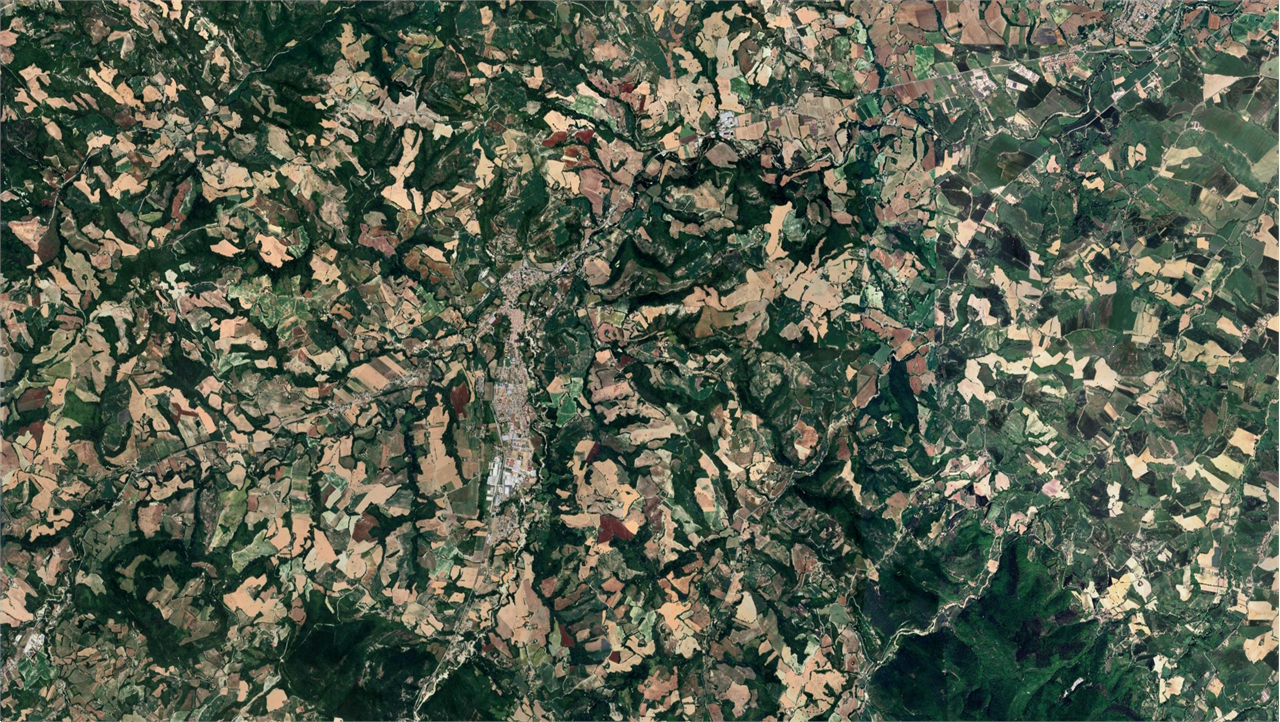 immagine annuncio 4 di 8