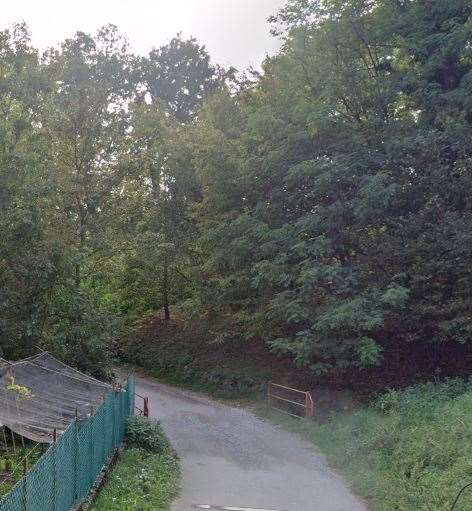 immagine annuncio 2 di 10