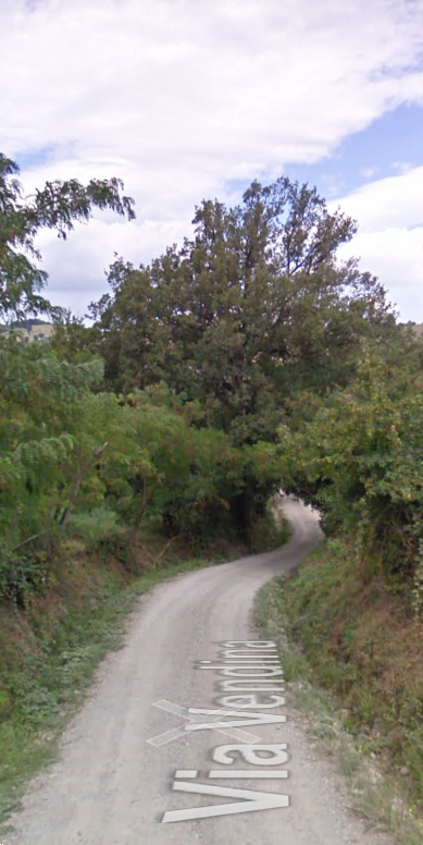 immagine annuncio 4 di 7