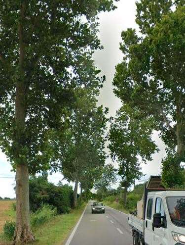 immagine annuncio 4 di 10