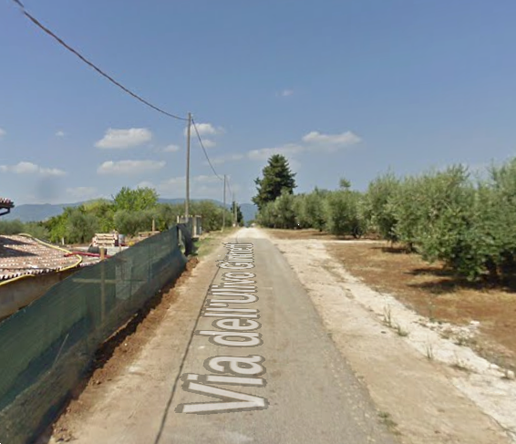 immagine annuncio 5 di 10