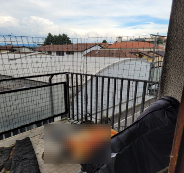 immagine annuncio 6 di 10