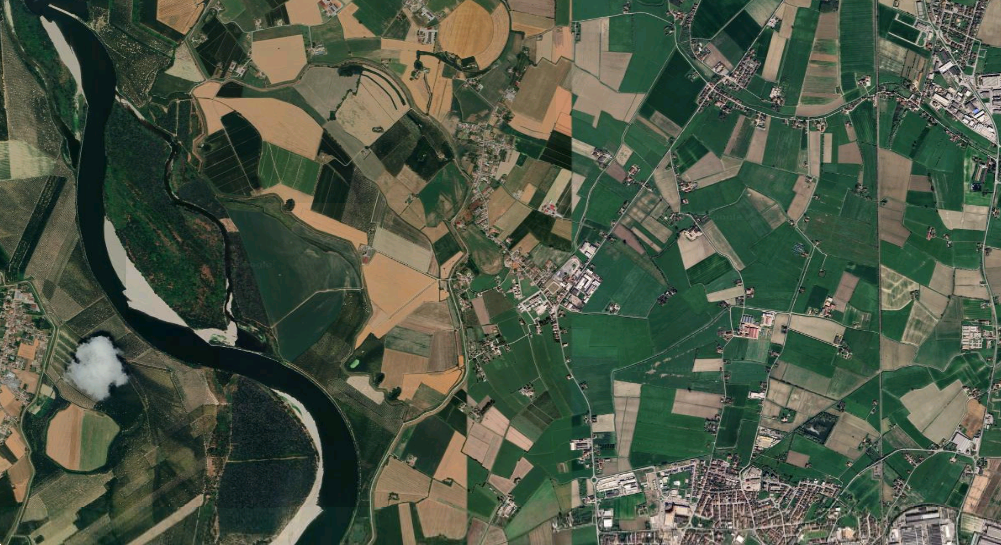 immagine annuncio 4 di 8