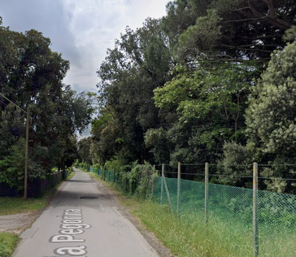 immagine annuncio 8 di 10