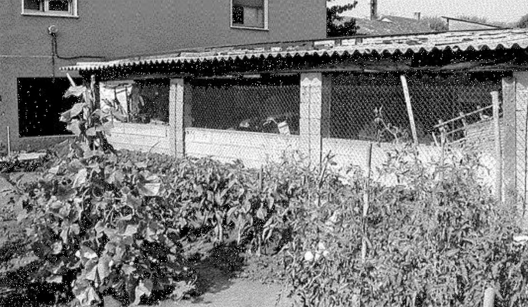 immagine annuncio 3 di 10