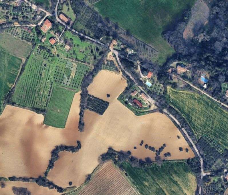 immagine annuncio 1 di 10