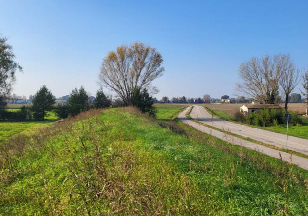 immagine annuncio 5 di 10