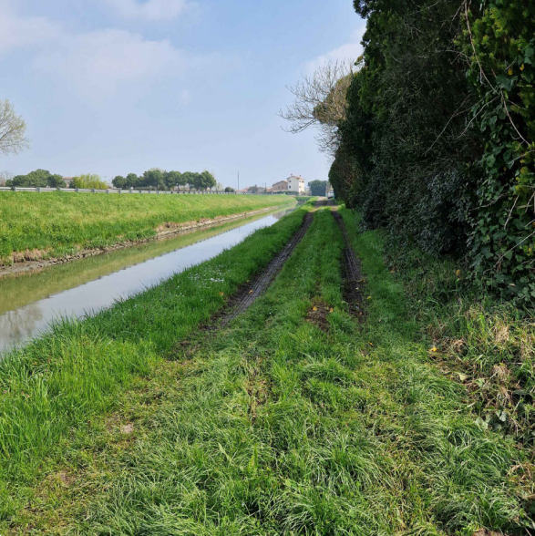 immagine annuncio 1 di 10