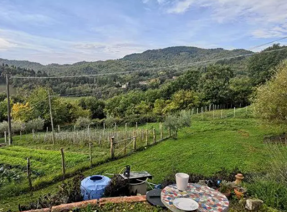 immagine annuncio 4 di 10