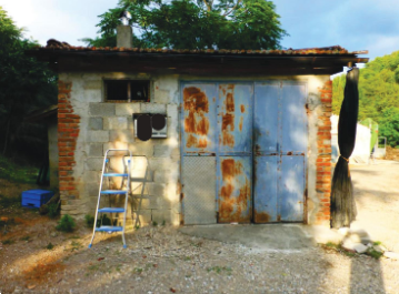 immagine annuncio 6 di 10