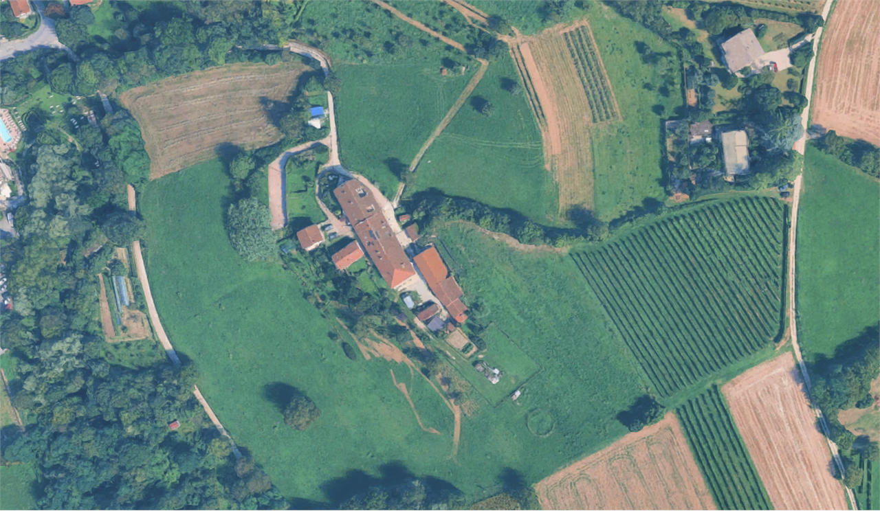 immagine annuncio 3 di 10