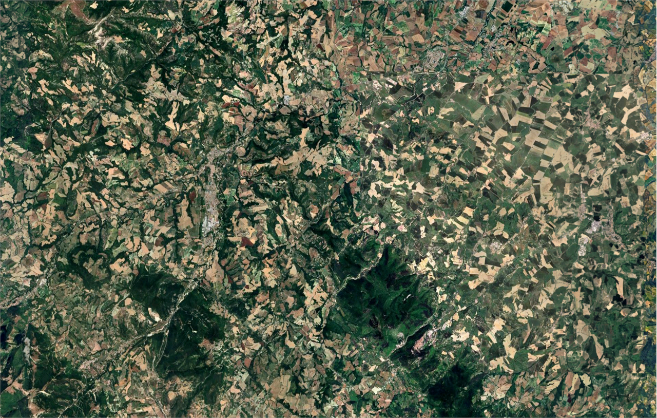 immagine annuncio 3 di 8