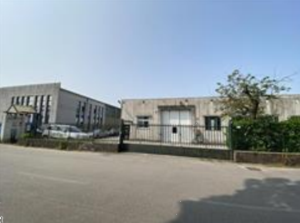 immagine annuncio 2 di 10